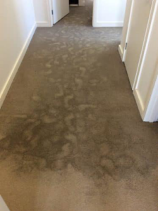 A dirty carpeted hallway showing stains, ready for cleaning by Xtreme Klene Carpet & Upholstery Cleaning in Montgomery, AL.