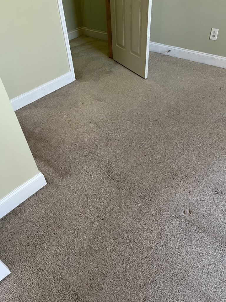 A dirty carpet with visible stains in a room before professional cleaning by Johns Creek Carpet Cleaner in Johns Creek, GA.