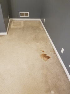 A dirty carpet with a large brown stain before cleaning by Dirt-Be-Gone Floor Cleaning in Louisville, KY