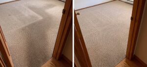 Before and after comparison of a carpeted room, showing a dirty path cleaned by Heaven's Best Carpet Cleaning Hilton Head Island SC.