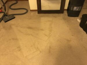 Dirty carpet with visible vacuum marks, indicating a carpet cleaning job in progress by Rug Rescue Carpet & Upholstery Cleaning in Puyallup, WA.