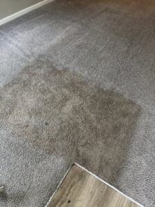 A dirty carpet with a visible clean path showing the effectiveness of TCK Carpet Cleaning in Indianapolis, IN.