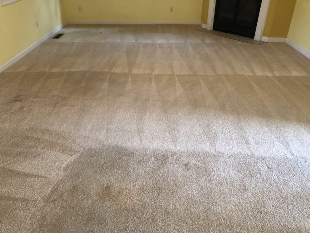 A dirty living room carpet with a visible clean strip, demonstrating the effectiveness of Fletcher's Carpet Cleaning & Stretching in Knoxville, TN.