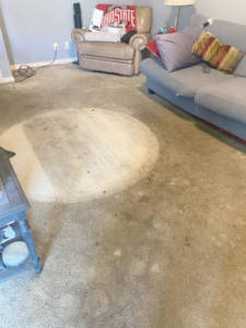 A dirty carpet in a living room with a circular spot showing a cleaned area by Furns Total Carpet Care in Murfreesboro, TN.