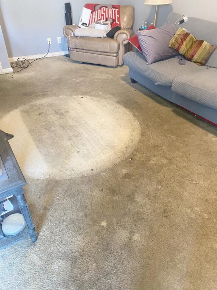 A dirty carpet in a living room with a circular spot showing a cleaned area by Furns Total Carpet Care in Murfreesboro, TN.