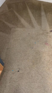 A dirty carpet showing initial cleaning lines from Eco Clean Carpet and Tile Care in Rocklin, CA