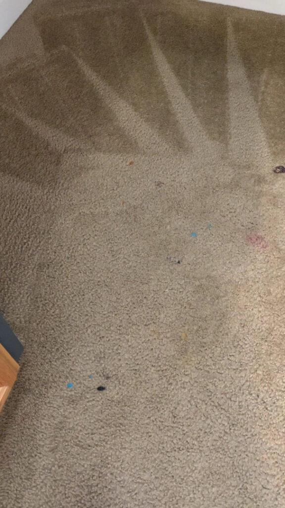 A dirty carpet showing initial cleaning lines from Eco Clean Carpet and Tile Care in Rocklin, CA