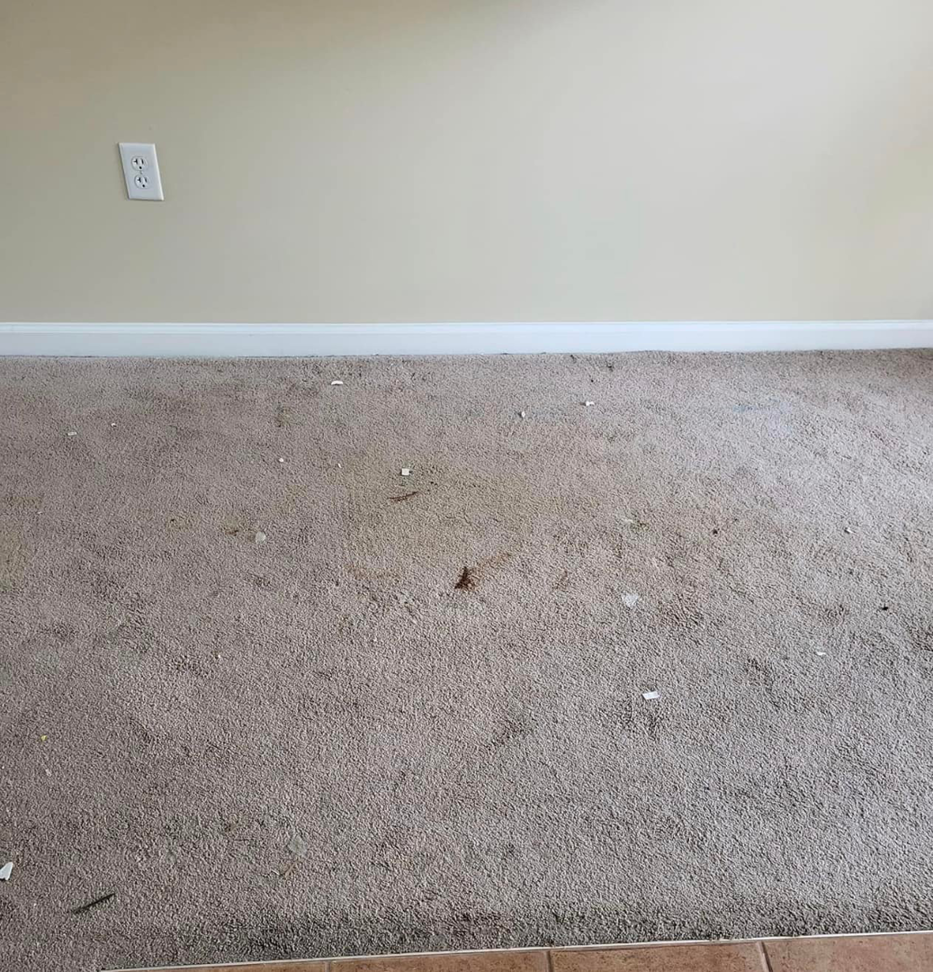 A dirty carpet with visible debris, ready for cleaning by Vision Carpet Cleaning in Lexington, KY.