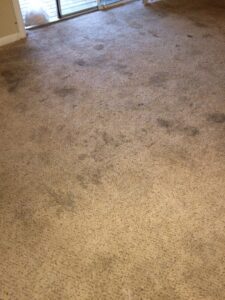A dirty carpet showing multiple dark stains, indicating a need for professional cleaning by KB Cleaning Services, Inc. in Atlanta, GA.