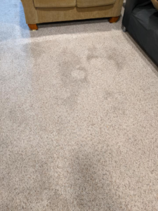A dirty carpet with visible stains before professional cleaning by Green Planet Carpet Cleaning in Bloomington, MN.
