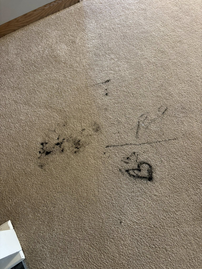 A dirty carpet with black stains and marks, before cleaning, by Lincoln Steam Carpet Cleaning in Lincoln, NE.