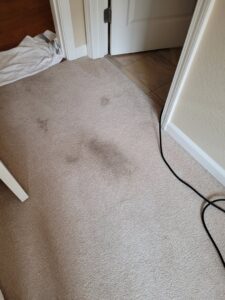 A dirty carpet with visible stains and a cleaning cord, showing a carpet before treatment by Reno Kwik Dry Total Cleaning in Sparks, NV.