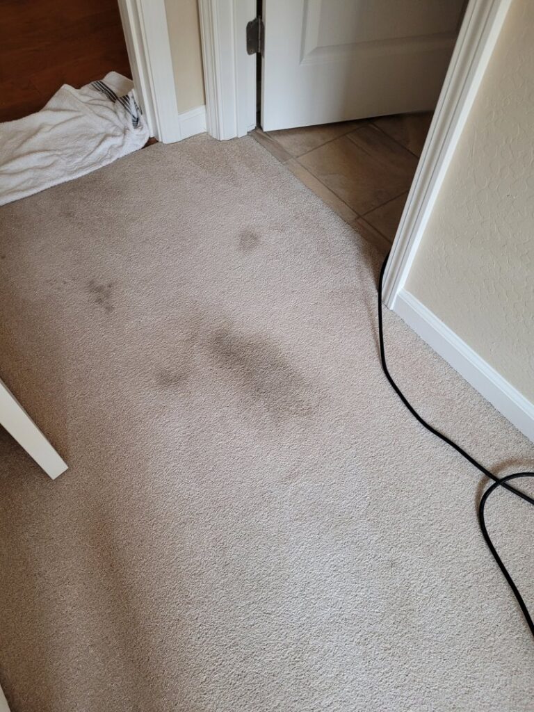 A dirty carpet with visible stains and a cleaning cord, showing a carpet before treatment by Reno Kwik Dry Total Cleaning in Sparks, NV.