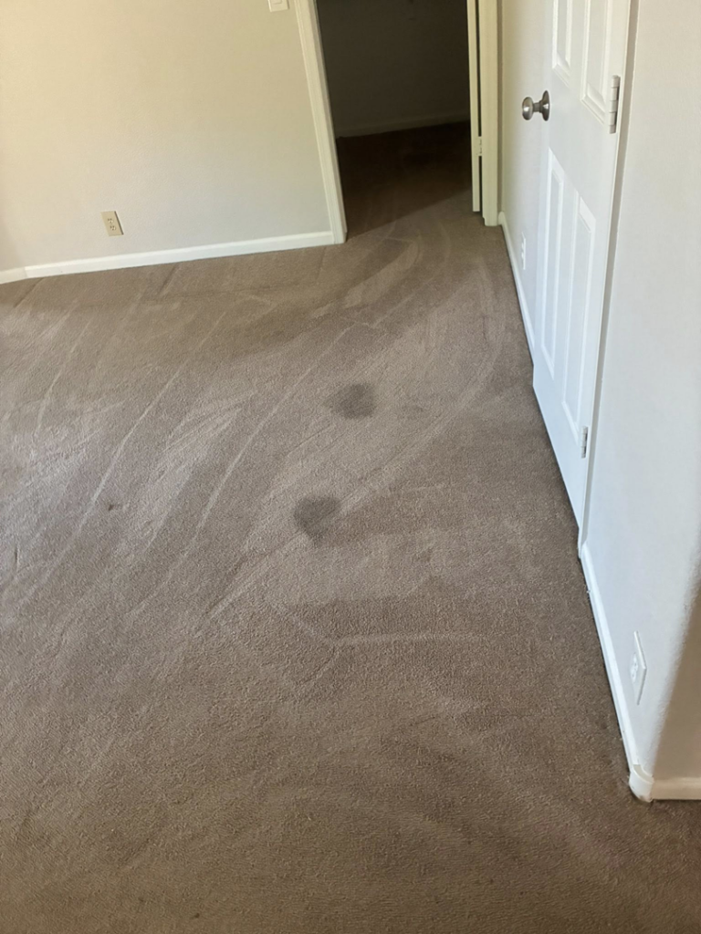 A dirty carpet with visible stains and vacuum lines in a room before professional cleaning by Steamex Carpet Cleaning Phoenix, AZ.