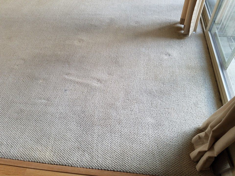 A dirty carpet with visible stains before restoration by Carpetco Restoration in Thornton, CO
