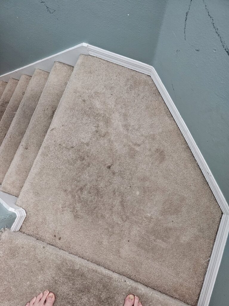 A dirty carpeted landing and stairs before professional cleaning by CitruSolution Carpet & Upholstery Cleaning of Orlando, FL