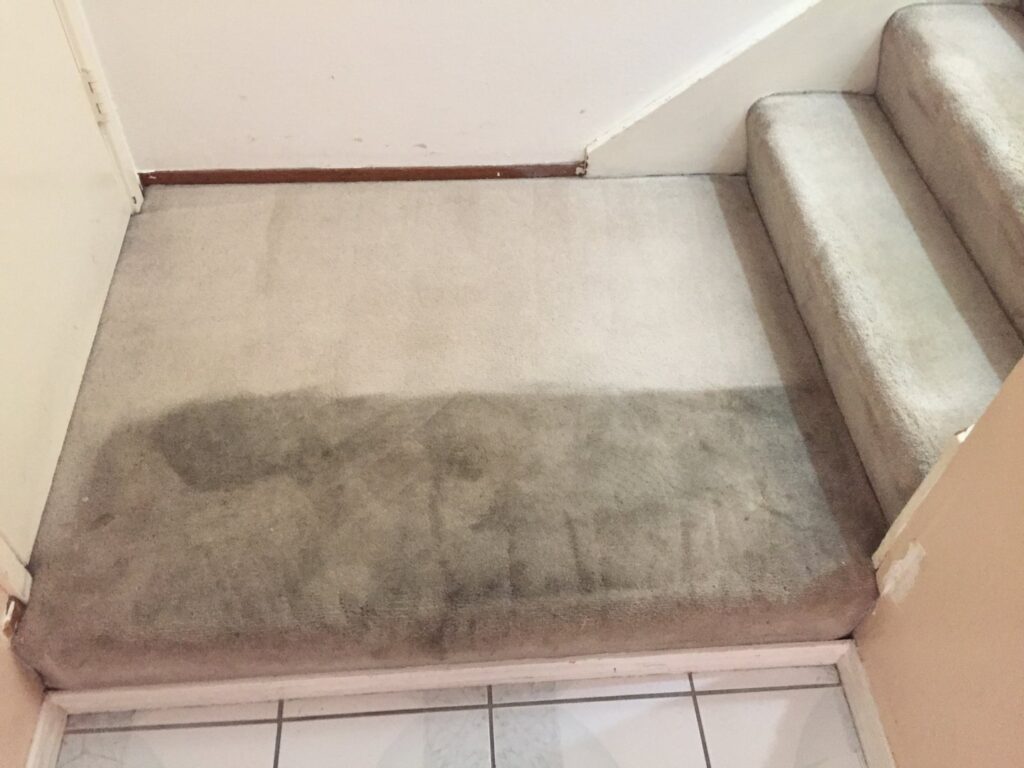 A dirty carpeted landing and stairs showing the need for cleaning services from JS Carpet Cleaning in San Jose, CA