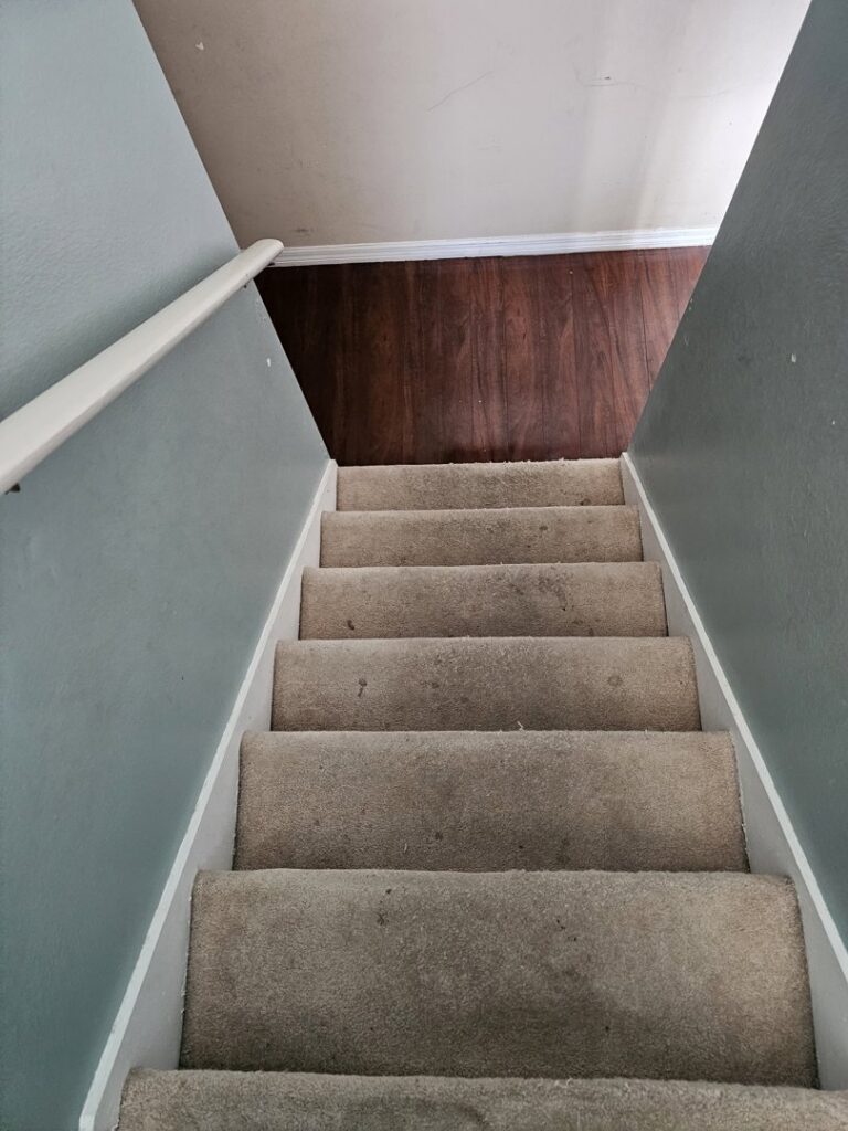 Dirty carpeted stairs leading to a hard floor before professional cleaning by CitruSolution Carpet & Upholstery Cleaning of Orlando, FL