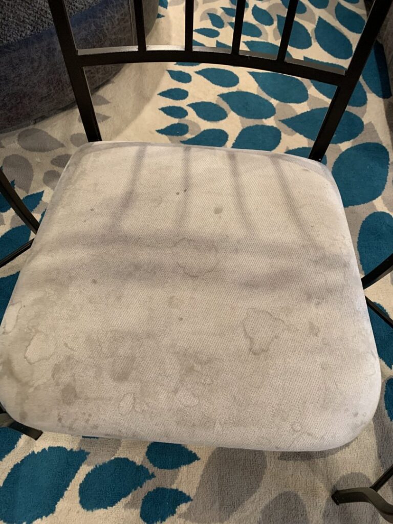 A dirty chair cushion on a patterned rug, ready for upholstery cleaning by Magic Clean Plus in Ann Arbor, MI.