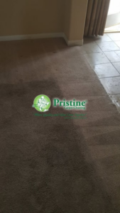 A carpet showing a distinct line between dirty and cleaned sections by Pristine Carpet Cleaning in Denver, CO.