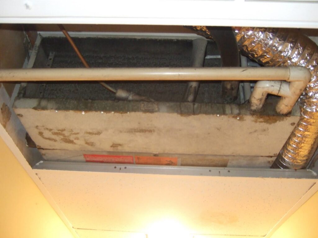 A dirty evaporator coil requiring maintenance, showcasing HVAC service needs by AVS Heating and Air Conditioning in Alexandria, VA.