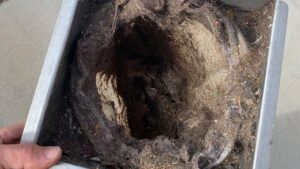 A dirty filter full of debris after a thorough carpet cleaning service by Soft N Dry in Tucson, AZ.