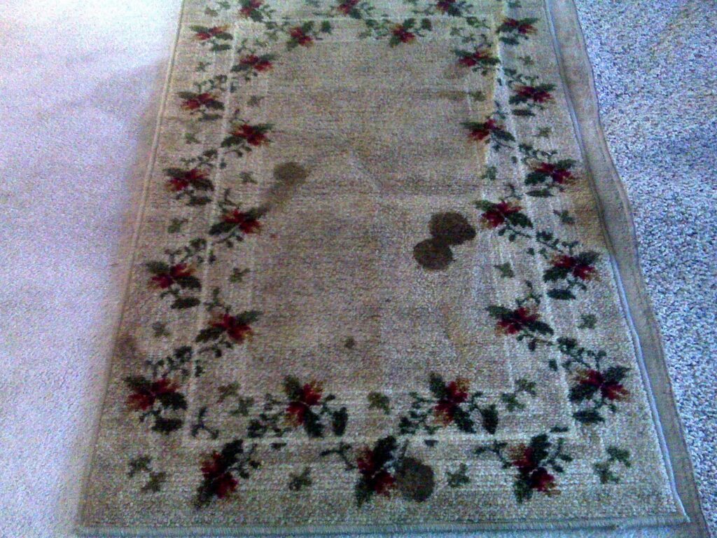 A dirty floral patterned area rug before cleaning service by Magic Clean Plus in Ann Arbor, MI.