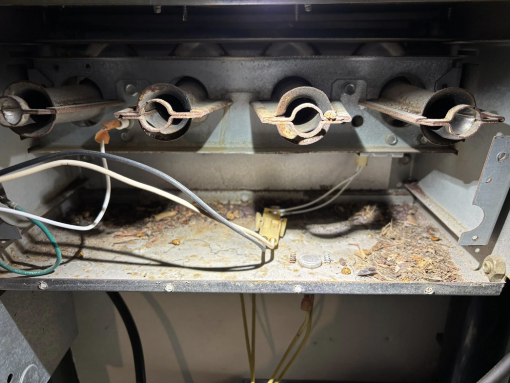 A close-up view of dirty furnace burners and interior components during an inspection by Fine Line HVAC LLC in Isanti, MN.