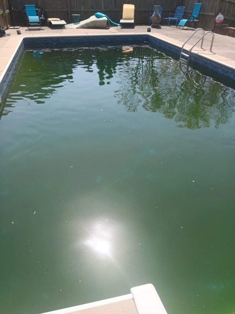 A dirty, green inground pool in need of cleaning, showcasing a typical before-cleaning scenario by Fox Pools of Evansville Inc in Evansville, IN