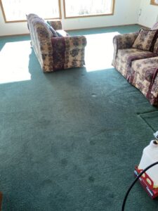 A dirty green living room carpet with furniture, awaiting professional cleaning from B of C Carpet Cleaning LLC in Idaho Falls, ID.