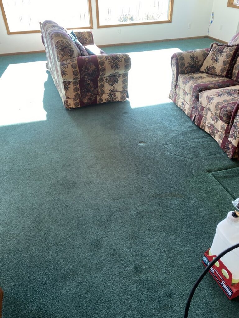 A dirty green living room carpet with furniture, awaiting professional cleaning from B of C Carpet Cleaning LLC in Idaho Falls, ID.
