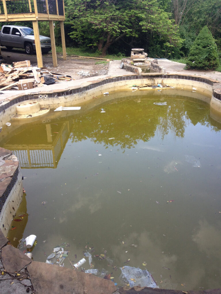 A very dirty, green residential pool filled with debris before cleaning by A-Grade Pools in Knoxville, TN.