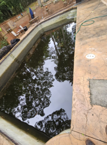 A very dirty, green swimming pool before cleaning by Complete Pool Service in West Columbia, SC