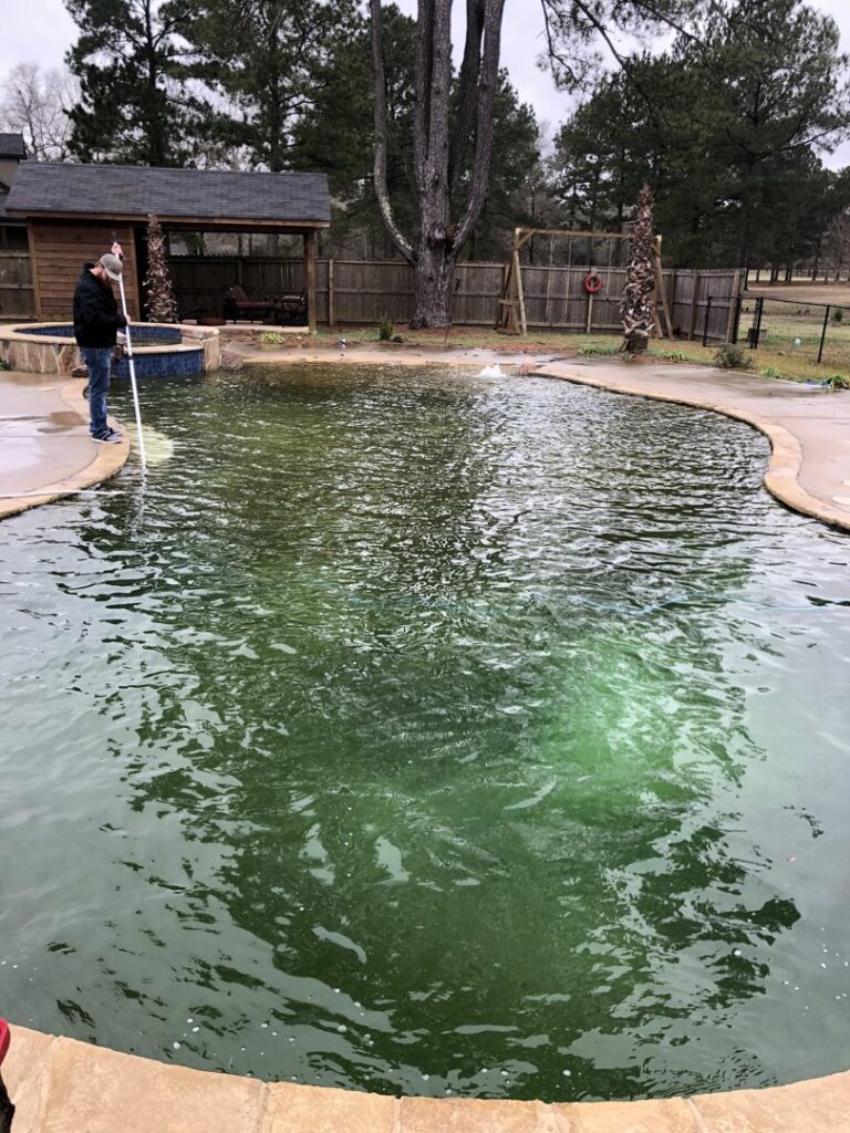 A very dirty, green swimming pool before cleaning service by Four Seasons Pool Services in Shreveport, LA.
