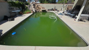 A very dirty, green swimming pool with a pool vacuum hose, ready for cleaning by AZ Pool Love in Mesa, AZ