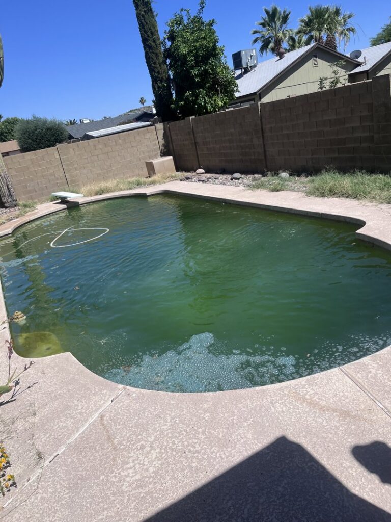 A dirty, green residential swimming pool in need of cleaning by Arizona Pool Stuff SW in Phoenix, AZ