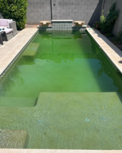 A dirty, green residential swimming pool in need of cleaning by The Pool Service Pros in New Hill, NC.