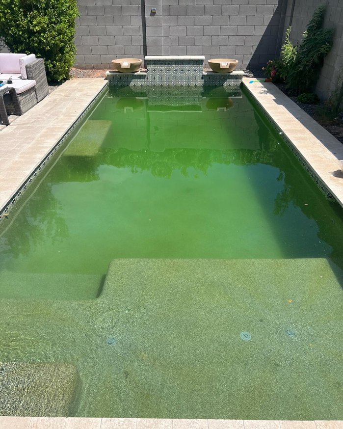 A dirty, green residential swimming pool in need of cleaning by The Pool Service Pros in New Hill, NC.