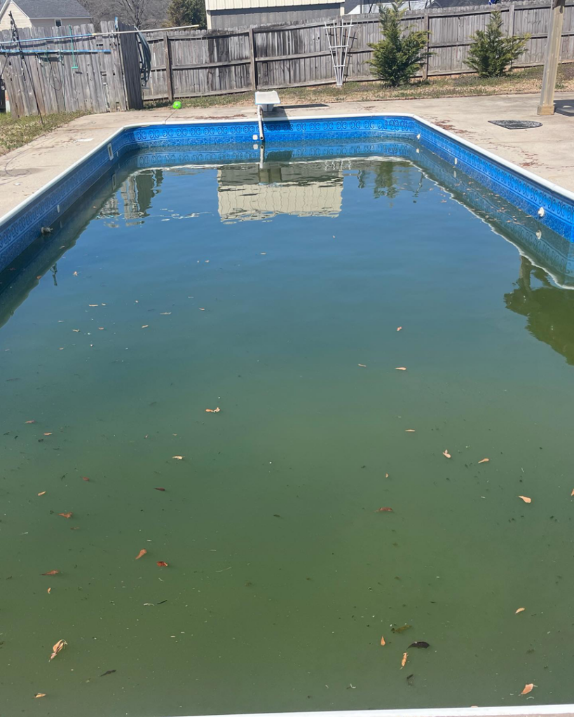 A dirty, green swimming pool filled with leaves, ready for cleaning by Pool Maid Pro in Decatur, AL.