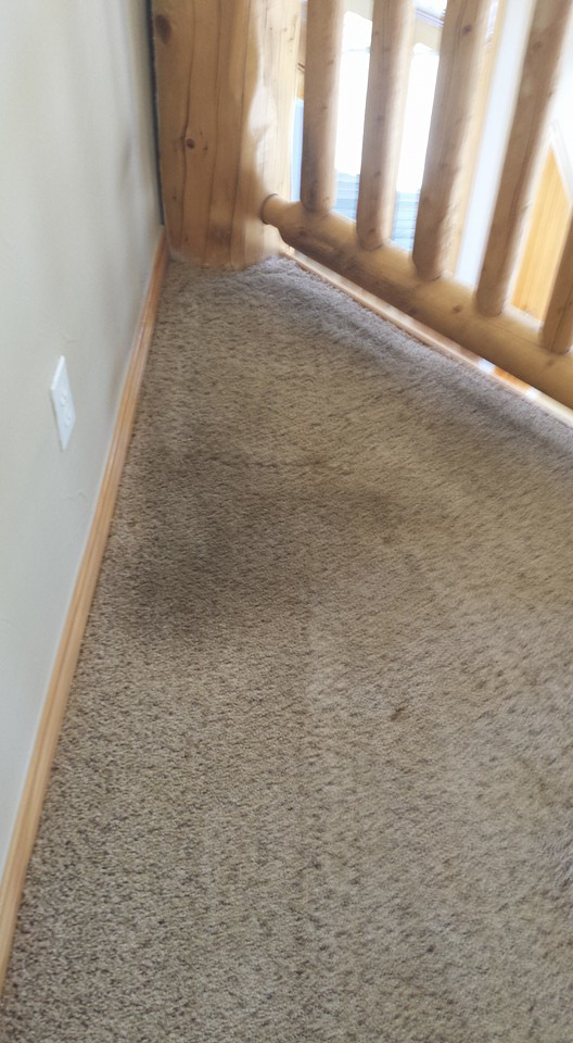 A dirty hallway carpet with visible spots before cleaning by Carpetco Restoration in Thornton, CO