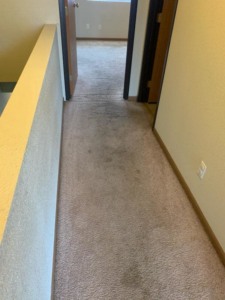 A dirty light brown hallway carpet before professional cleaning by Steamagic Carpet Care in Columbia, MO