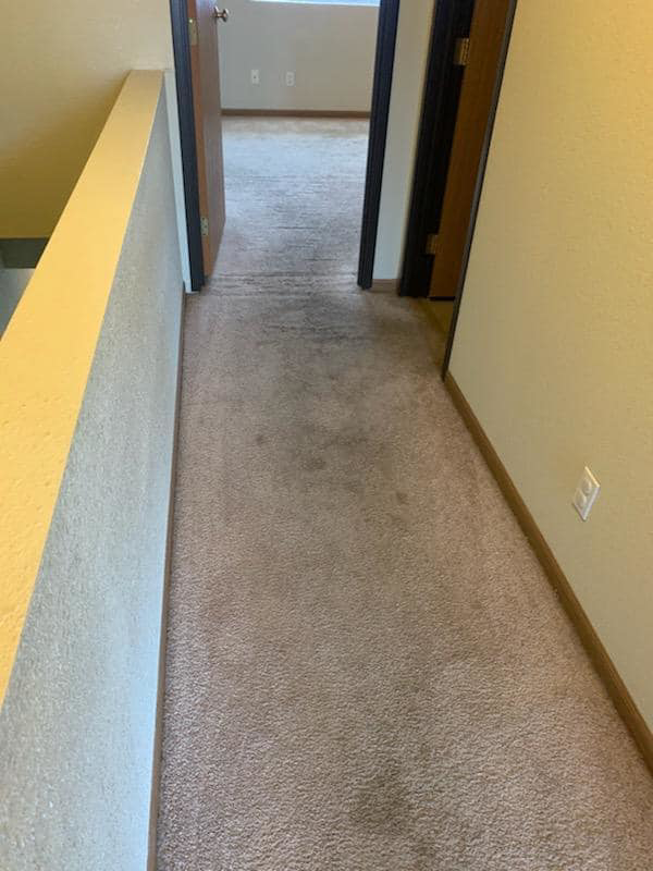 A dirty light brown hallway carpet before professional cleaning by Steamagic Carpet Care in Columbia, MO