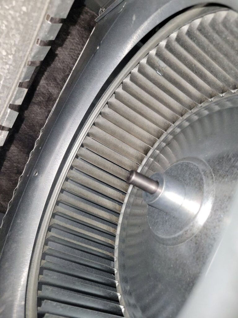 A close-up of a dirty HVAC blower fan requiring cleaning by Comfort Hounds Heating & Cooling in Raleigh, NC.