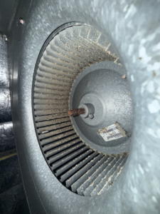 A dirty HVAC blower fan requiring cleaning by NextGen Aire of Southwest Florida in Punta Gorda, FL.