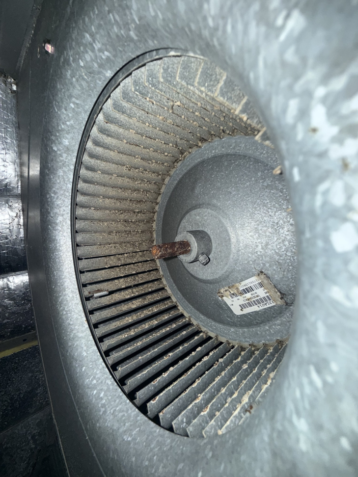 A dirty HVAC blower fan requiring cleaning by NextGen Aire of Southwest Florida in Punta Gorda, FL.