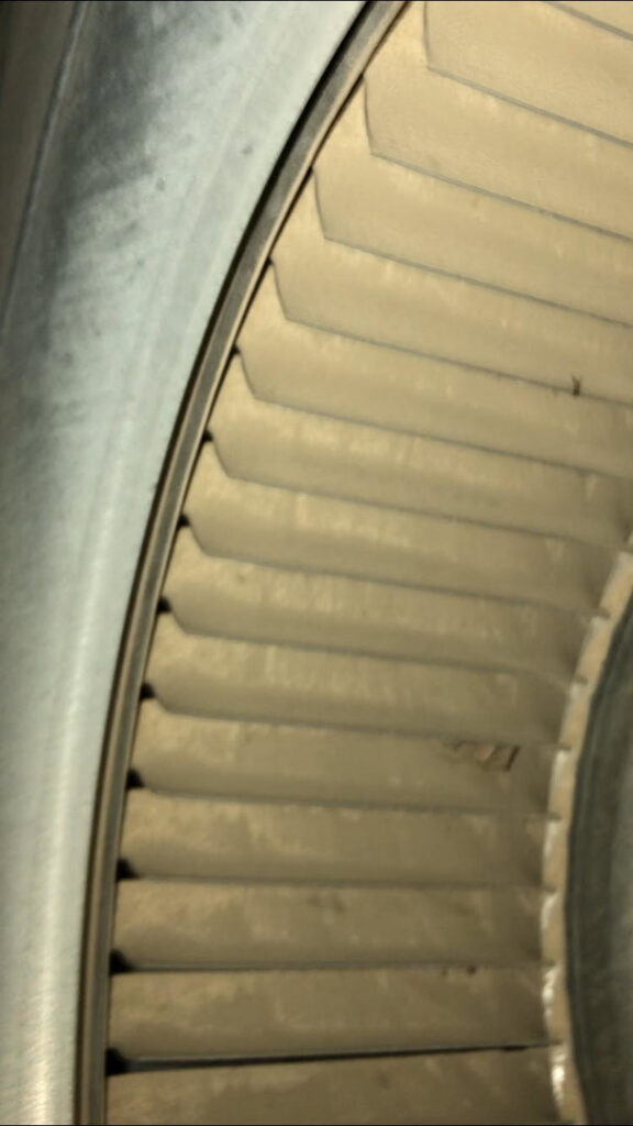 A close-up view of a dirty HVAC blower fan, indicating the need for cleaning by Midwest Air Solutions in Indianapolis, IN