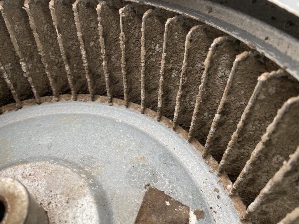 A very dirty HVAC blower fan requiring cleaning by Willman Air in Jacksonville, FL.