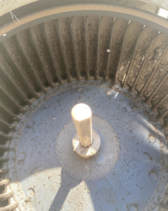 A dirty HVAC blower wheel requiring cleaning or replacement by B & H Heating and Air Services LLC in Local City, ST.