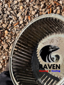 A dirty HVAC blower wheel in need of cleaning or replacement from Raven Heating & Cooling in El Paso, TX.