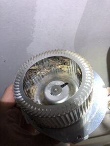 A dirty HVAC blower wheel removed for cleaning or maintenance by Service Experts Denver in Westminster, CO